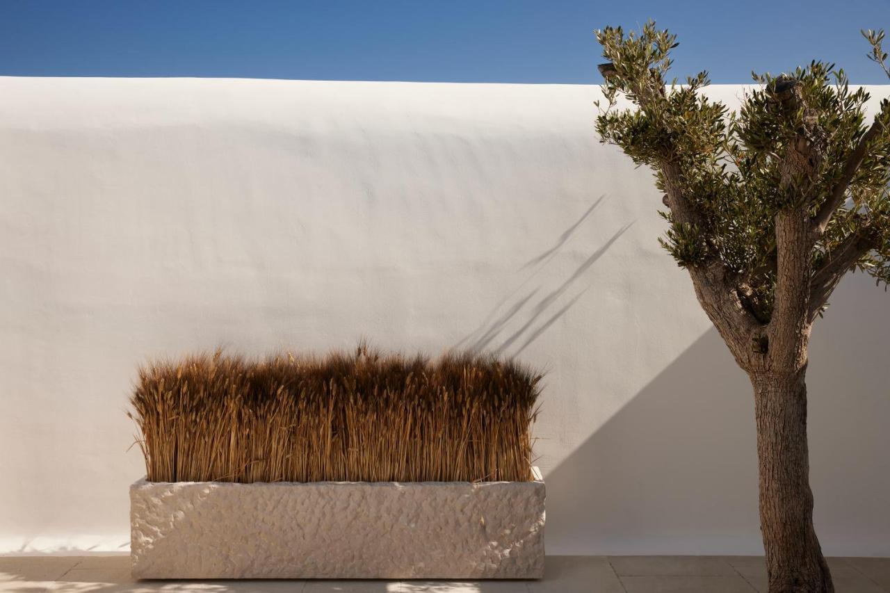 Kalesma Mykonos Hotel Ornos  Ngoại thất bức ảnh